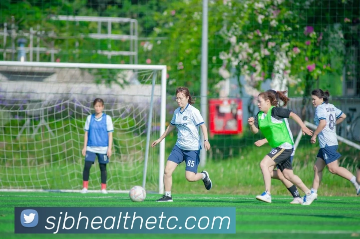 开云体育入口全新体验指南助你畅享运动与赛事精彩内容